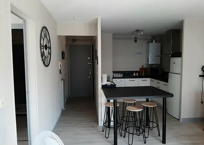 Confortable En Plein Centre De Saint-jean-de-luz, A Deux Pas De La Et Des Commerces - Fr-1-239-586 San Juan de Luz