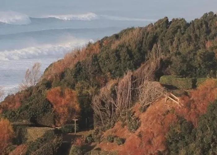 Confortable En Plein Centre De Saint-jean-de-luz, A Deux Pas De La Et Des Commerces - Fr-1-239-586 *