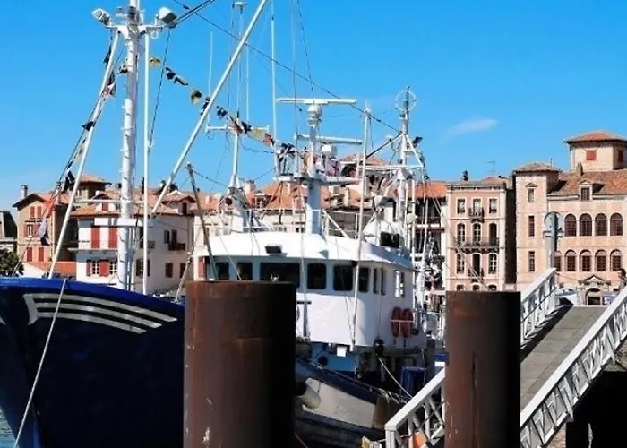 Confortable En Plein Centre De Saint-jean-de-luz, A Deux Pas De La Et Des Commerces - Fr-1-239-586 *